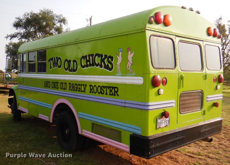 image for item DK8204 1995 International 3800 Blue Bird  school bus