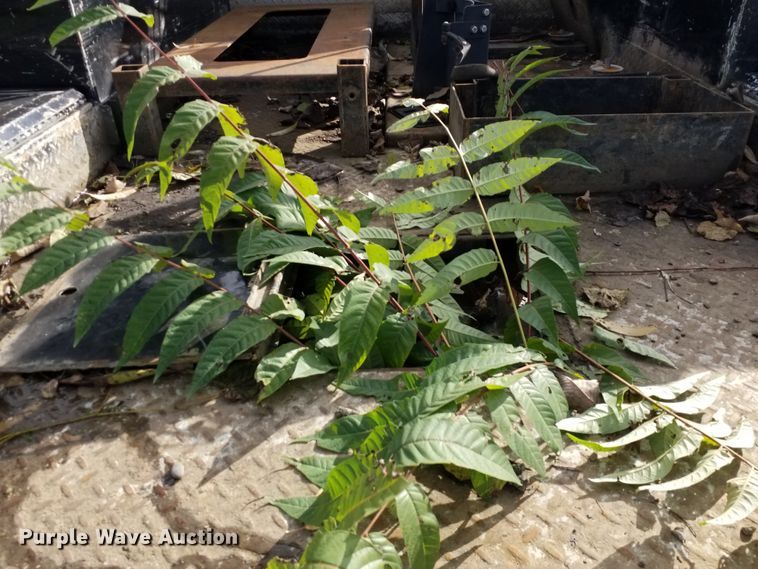 image for item IK9637 2014 Dodge Ram 5500  Crew Cab flatbed truck