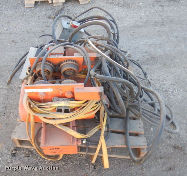 image for item JS9466 CM R2  chain hoist