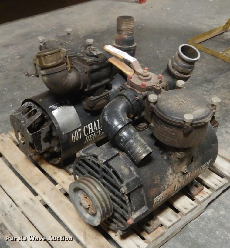 image for item KO9775 (2) Challenger 607 pumps