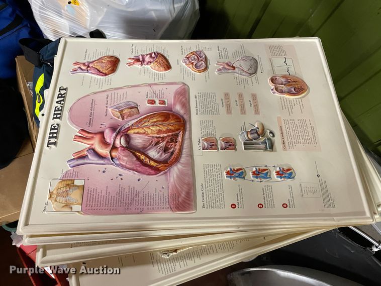 image for item IX9541 Medical training supplies