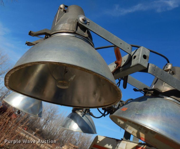 image for item IO9530 Amida Let 7000  light plant