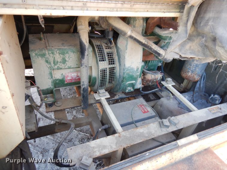 image for item IO9530 Amida Let 7000  light plant