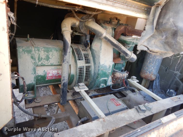 image for item IO9530 Amida Let 7000  light plant