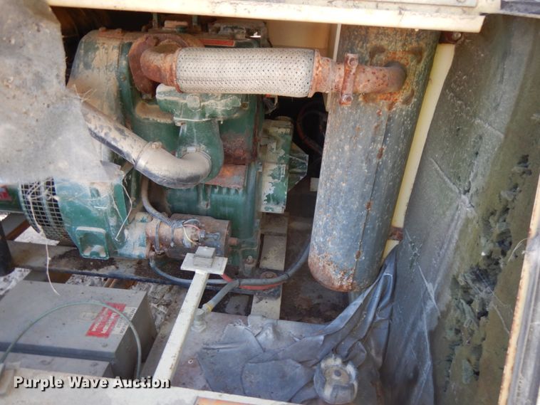 image for item IO9530 Amida Let 7000  light plant