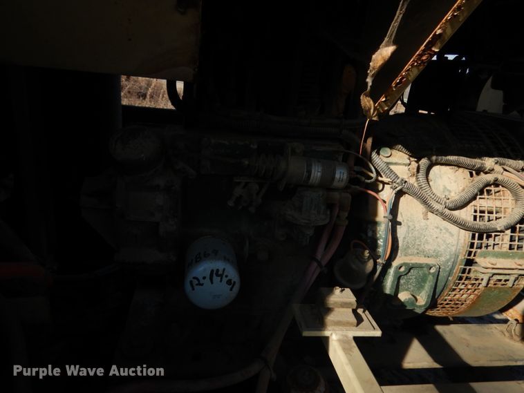 image for item IO9530 Amida Let 7000  light plant