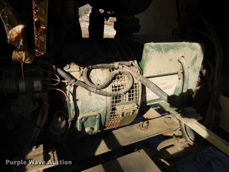 image for item IO9530 Amida Let 7000  light plant