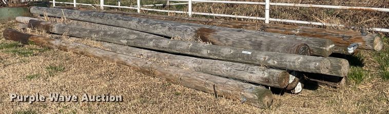 image for item IX9596 Poles