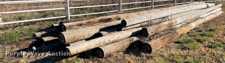 image for item IX9596 Poles