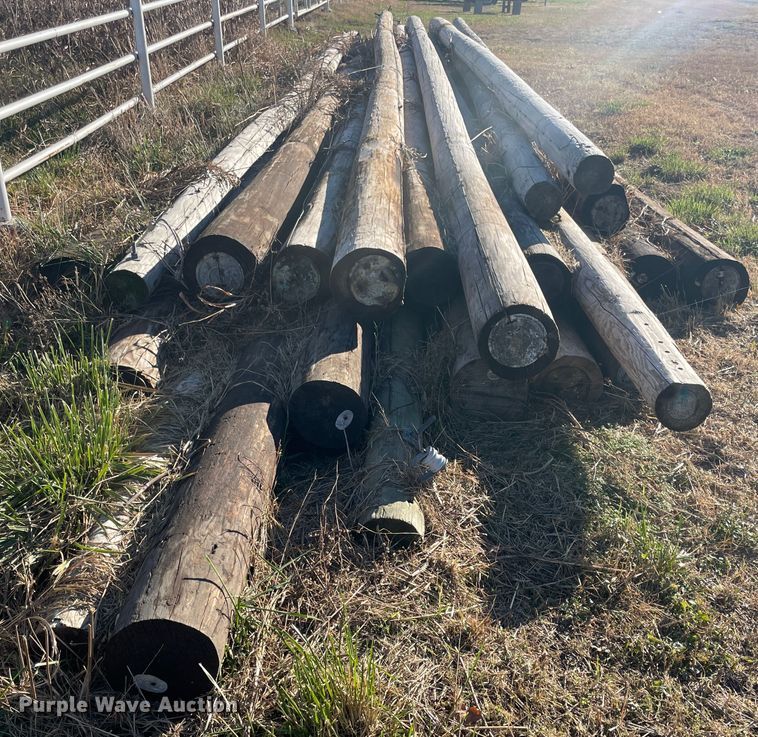 image for item IX9596 Poles