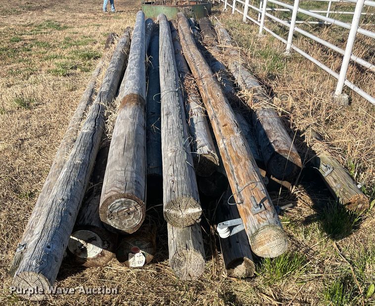 image for item IX9596 Poles