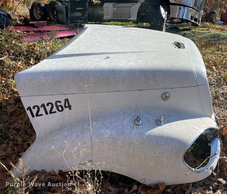 image for item ID9553 Freightliner  hood