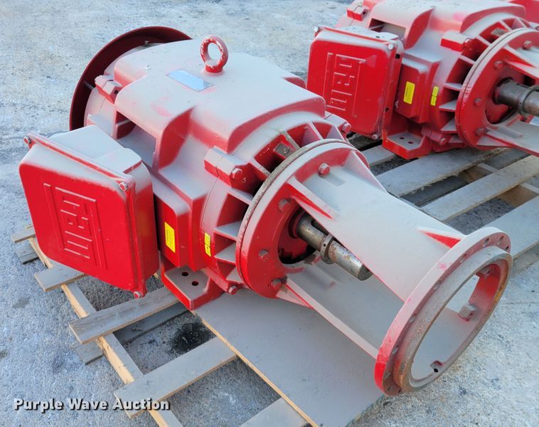 image for item IV9629 (4) electric pumps