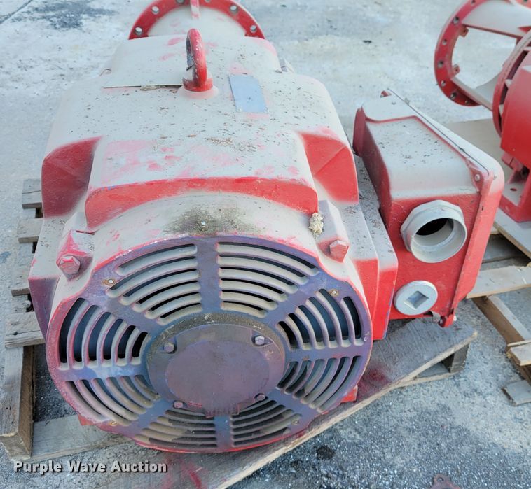 image for item IV9629 (4) electric pumps