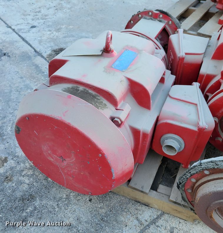 image for item IV9629 (4) electric pumps