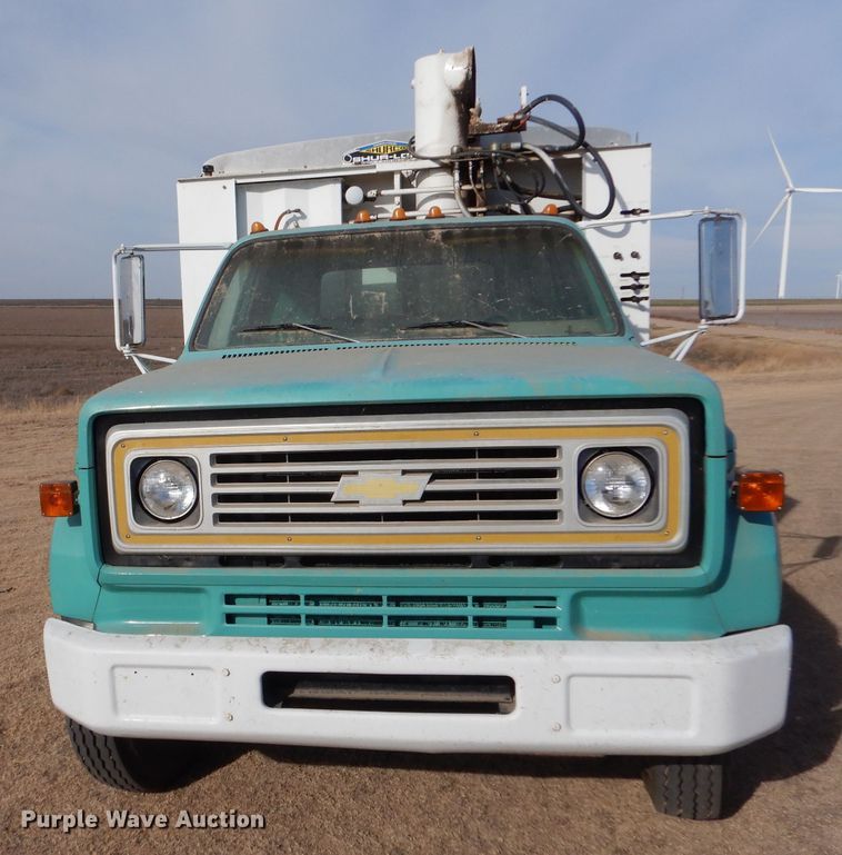 image for item DJ7566 1974 Chevrolet C60  feed delivery truck