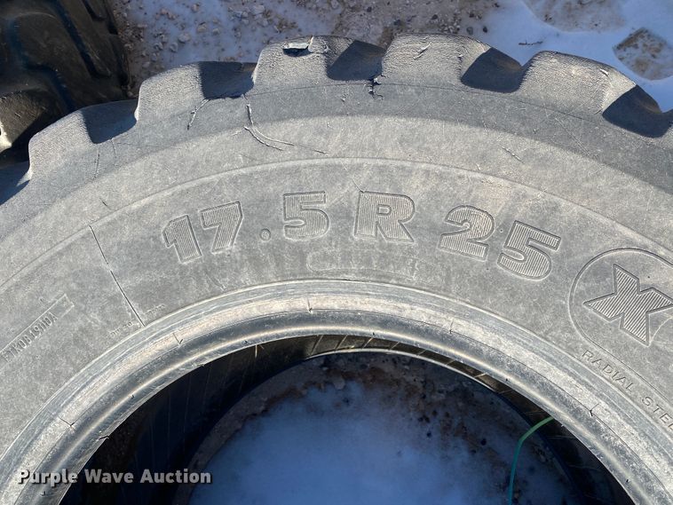 image for item DL1359 Approximately 20 tires