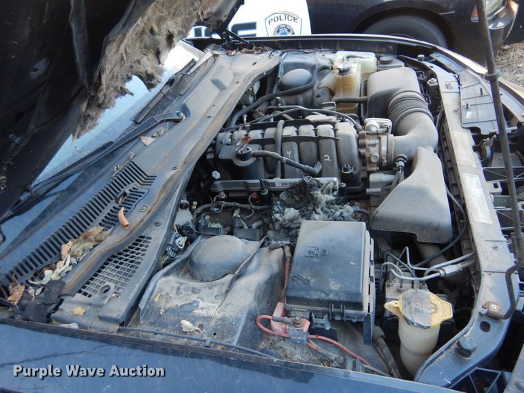 image for item JJ9822 2010 Dodge Charger