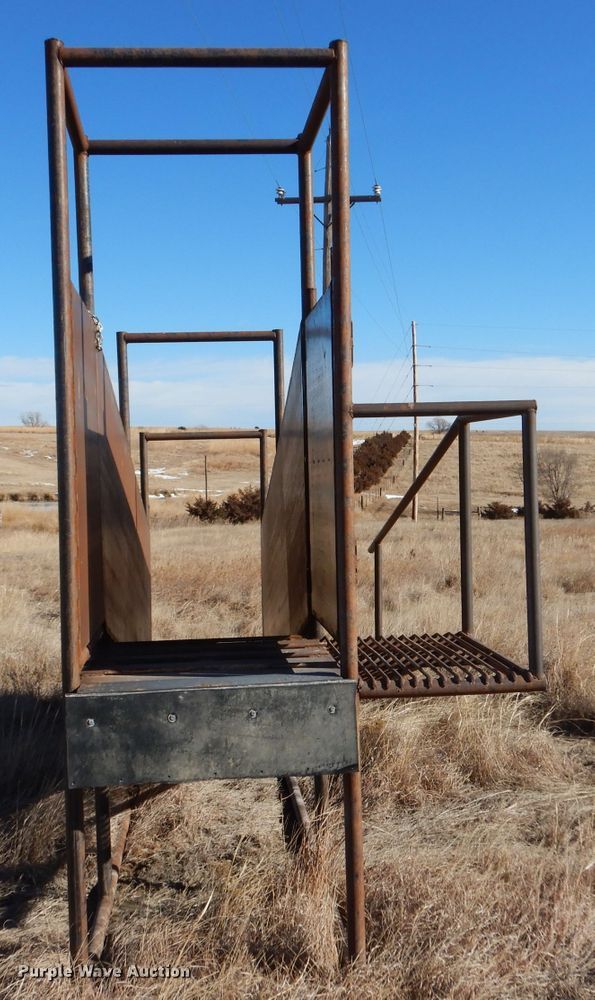 image for item IE9545 2022 LJ Manufacturing  livestock loading chute