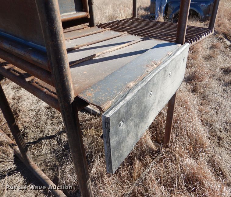 image for item IE9545 2022 LJ Manufacturing  livestock loading chute