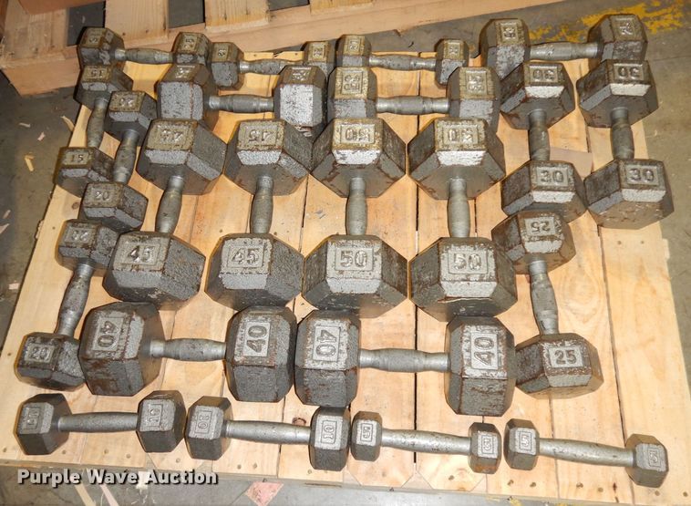 image for item JE9791 (22) dumbbells