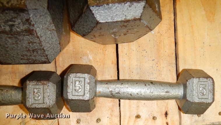 image for item JE9791 (22) dumbbells