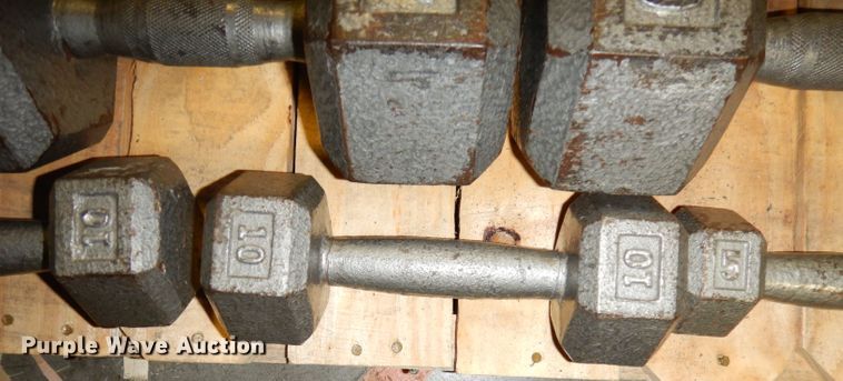 image for item JE9791 (22) dumbbells