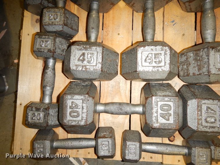 image for item JE9791 (22) dumbbells