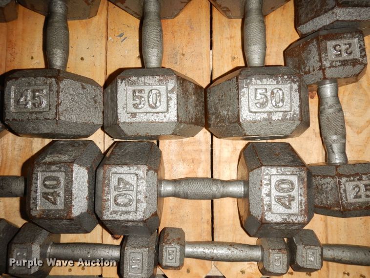image for item JE9791 (22) dumbbells