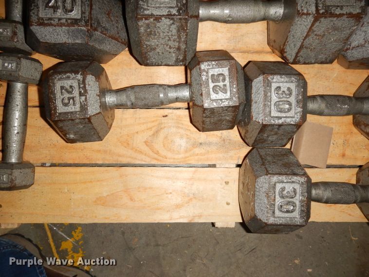 image for item JE9791 (22) dumbbells