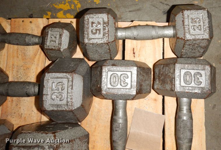 image for item JE9791 (22) dumbbells