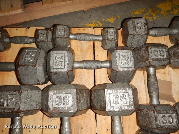 image for item JE9791 (22) dumbbells