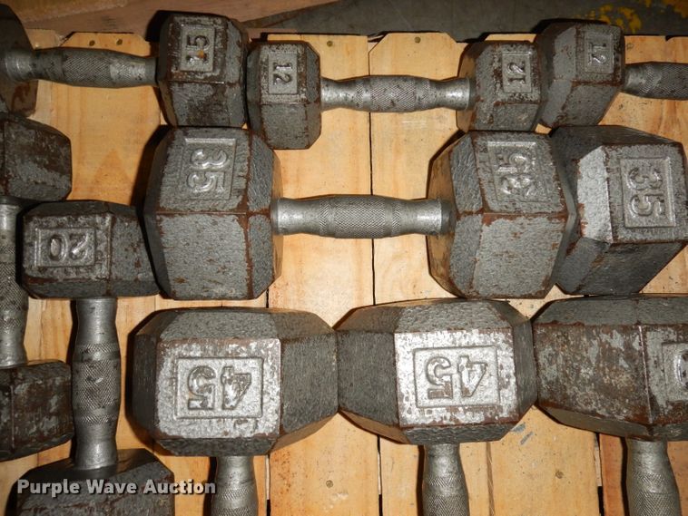 image for item JE9791 (22) dumbbells