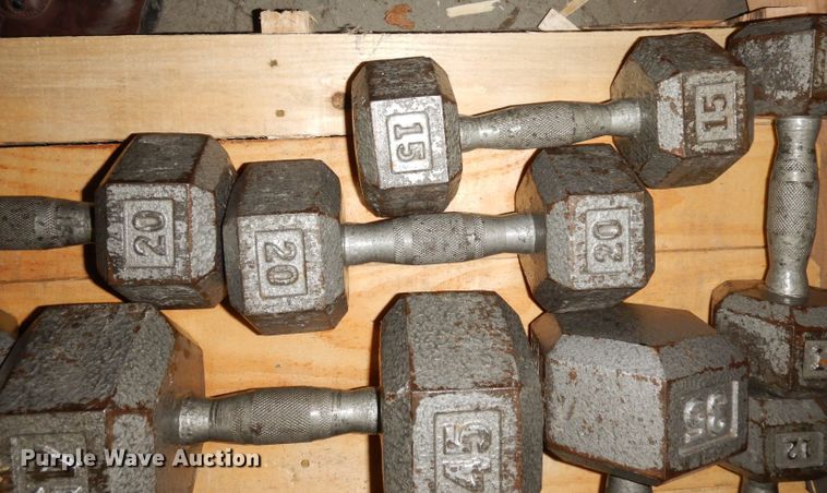 image for item JE9791 (22) dumbbells