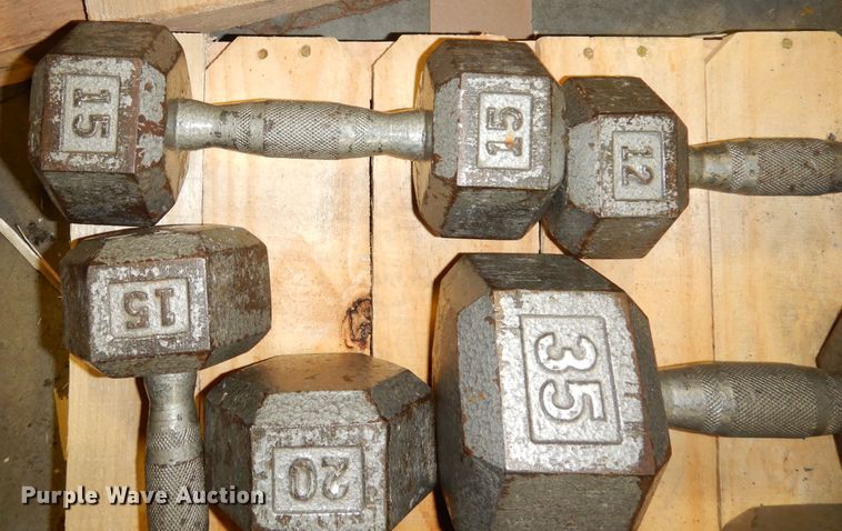 image for item JE9791 (22) dumbbells