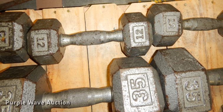 image for item JE9791 (22) dumbbells