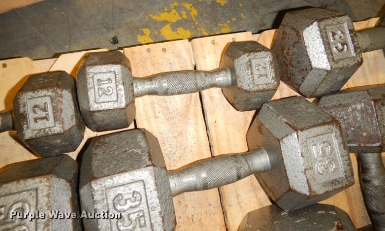 image for item JE9791 (22) dumbbells