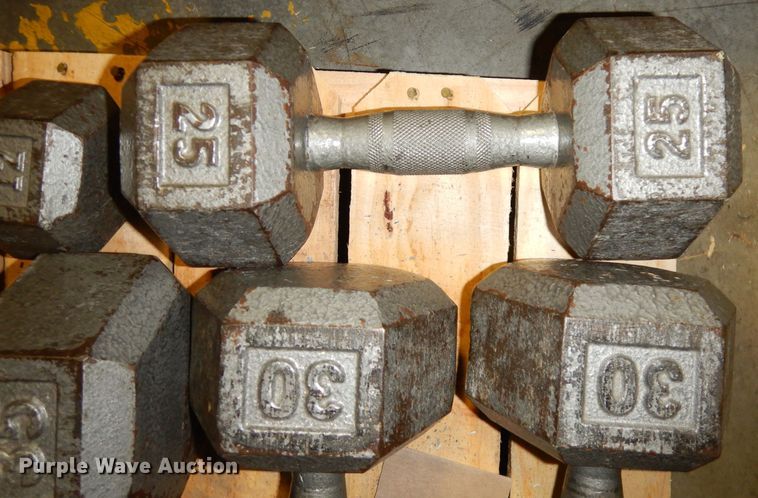 image for item JE9791 (22) dumbbells