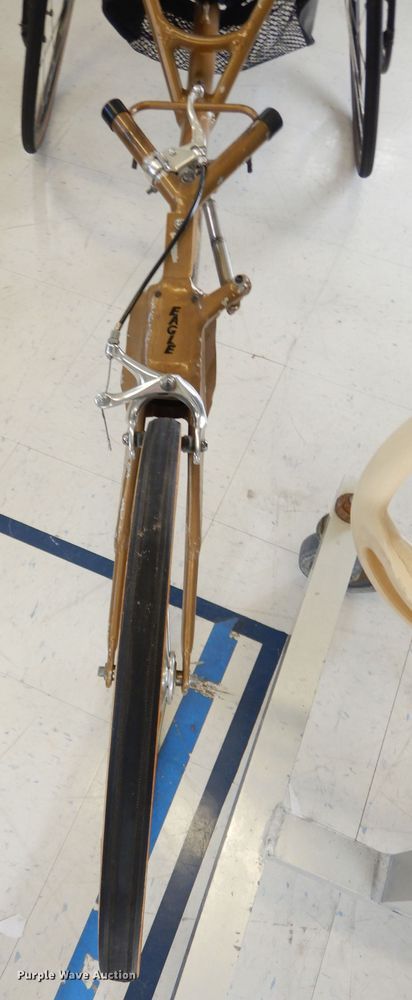 image for item JE9819 Eagle Racing tricycle