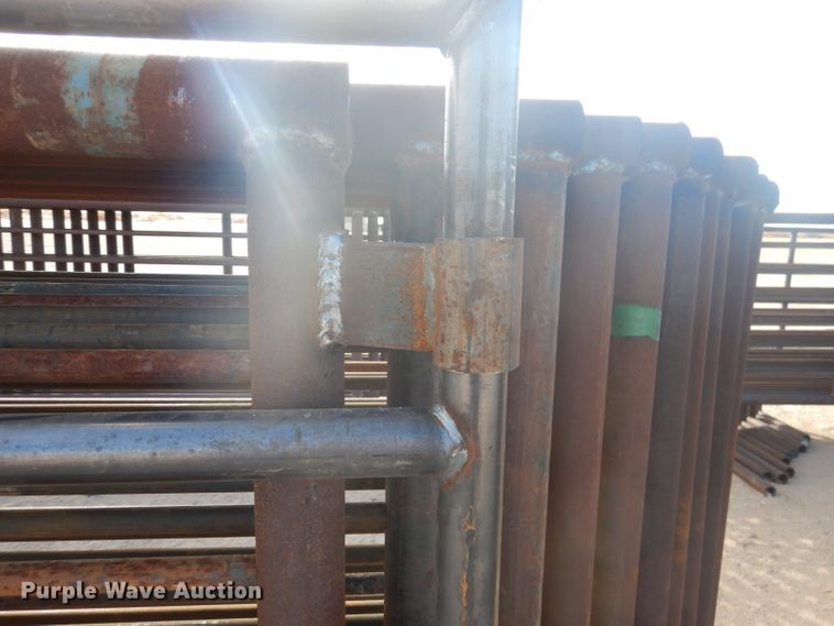 image for item DJ8912 2022 Shop built  livestock pen