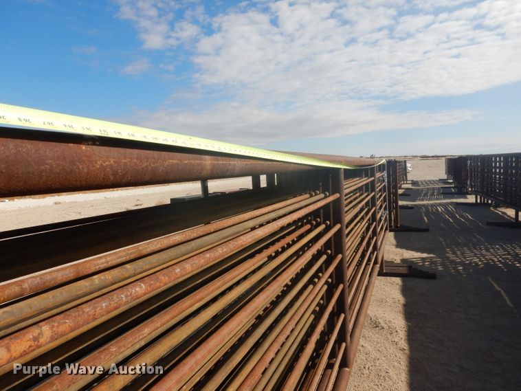 image for item DJ8913 2022 Shop built  livestock pen