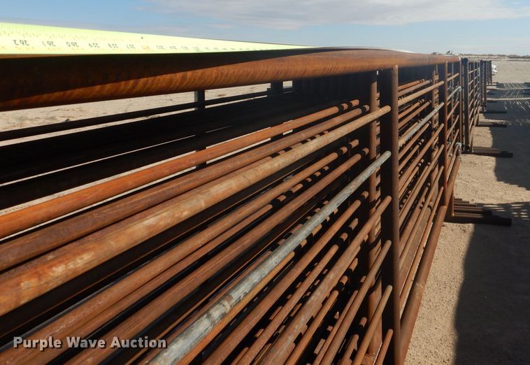 image for item DJ8914 2022 Shop built  livestock pen