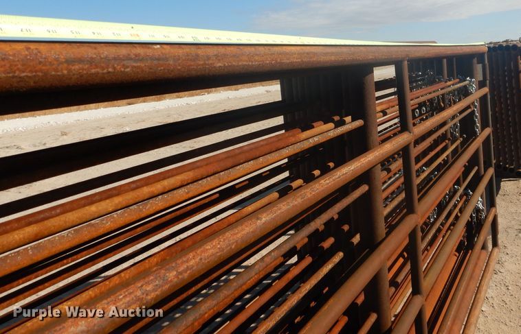 image for item DJ8915 2022 Shop built  livestock pen