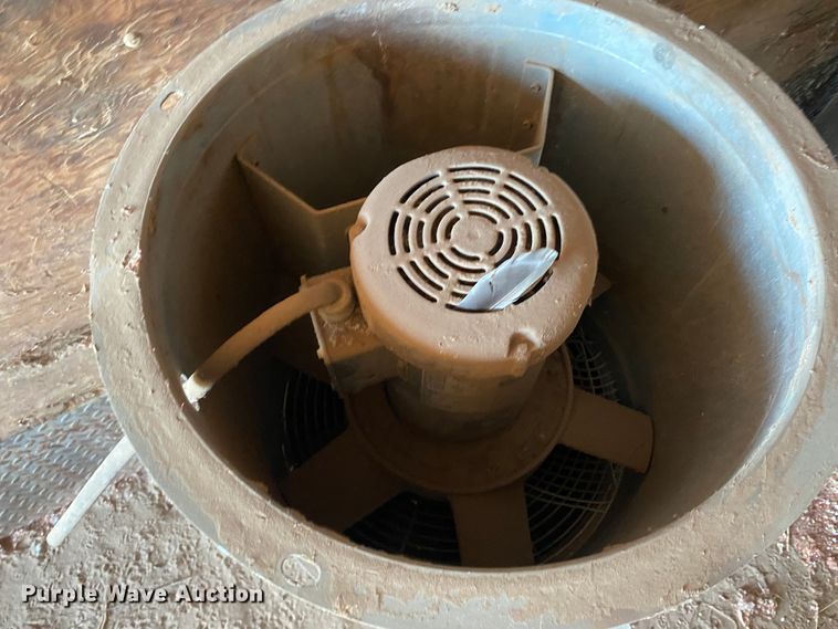 image for item DL1406 Fans