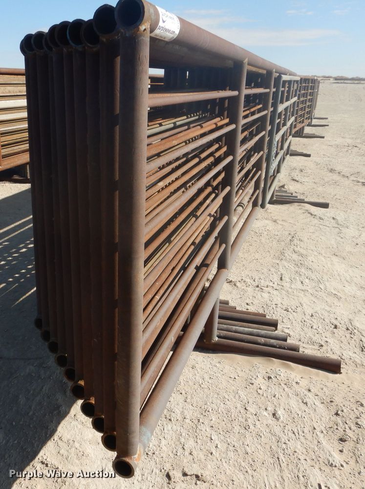 image for item DJ8918 2022 Shop built  livestock pen