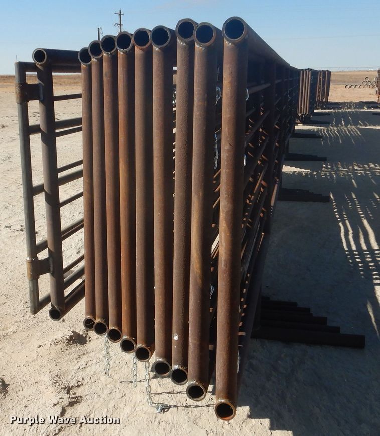 image for item DJ8918 2022 Shop built  livestock pen