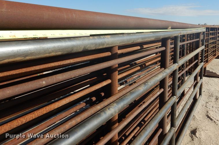 image for item DJ8918 2022 Shop built  livestock pen