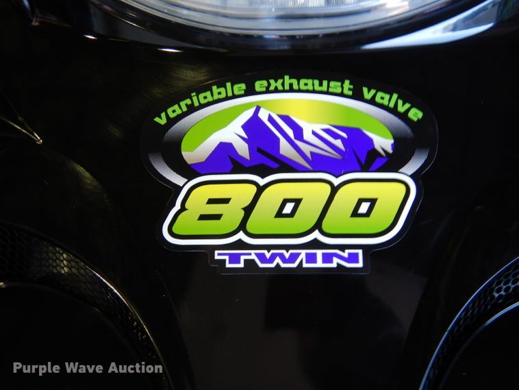 image for item IE9607 2001 Arctic Cat Mountain Cat 800  snowmobile