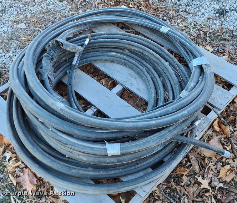 image for item JG9260 (4) moles