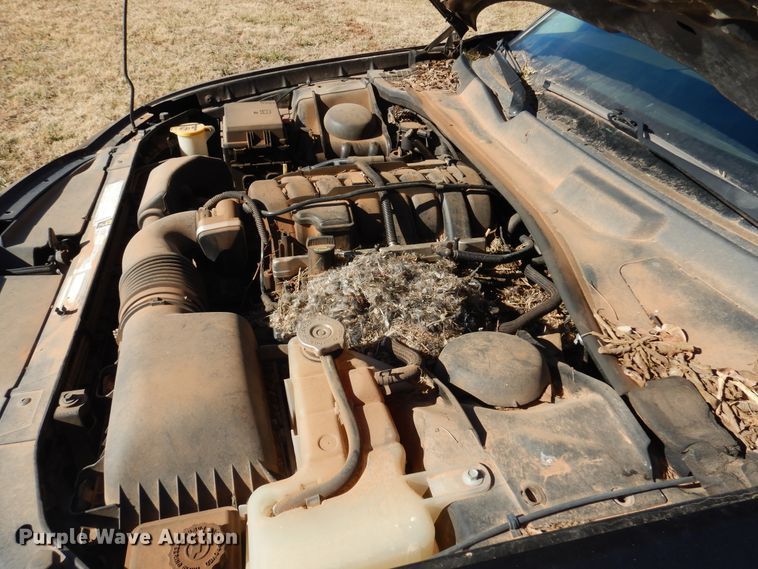 image for item DF0064 2009 Dodge Charger